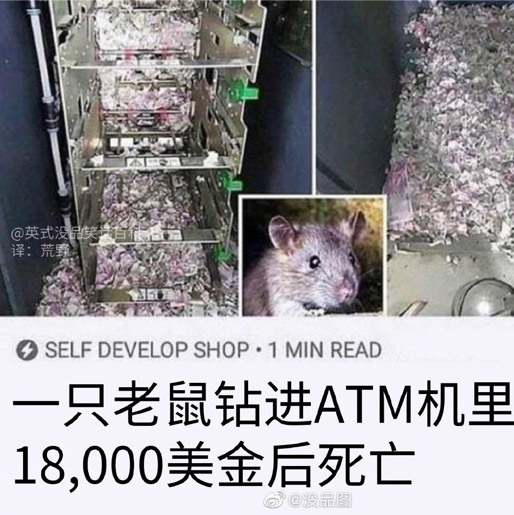 外放抖音的要注意了！！！19年11月26日份的新闻+傻屌图