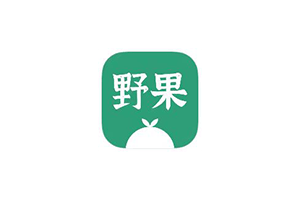 野果阅读，自带多书源，包含飞卢