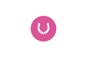 Icon Horse 获取任何网站的图标favicon，做导航站必备