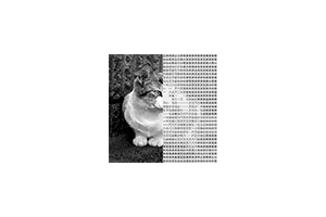 MojiPhoto：图片文字化生成器