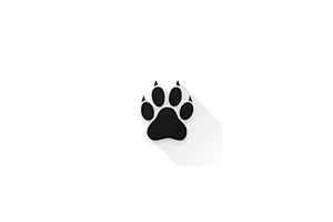 Amarok-Hider：无需Root隐藏应用和文件，开源免费的轻量级隐私保护工具