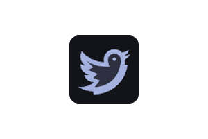 twittervid：Twitter 视频下载器，Twitter Video Downloader