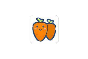 萝卜头文档下载器：一站式文档搜索与下载工具，轻松获取各类文档资源