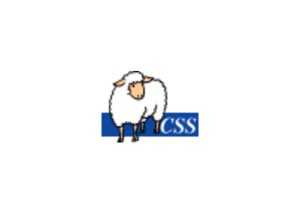 CSS Validation Service：检查层叠样式表(CSS)文档和HTML或者XHTML文档中的CSS内容正确性